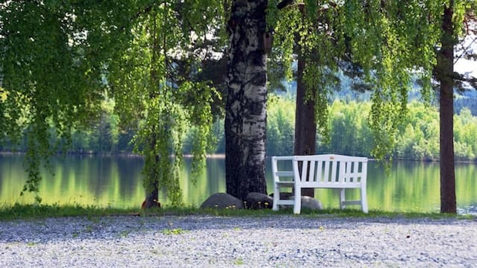 Sörälgens Camping
